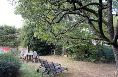 thumbnail_IMG_6773